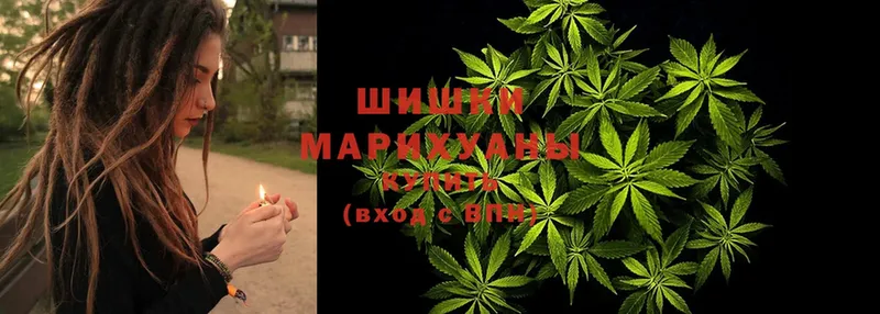 Бошки Шишки SATIVA & INDICA  Киселёвск 